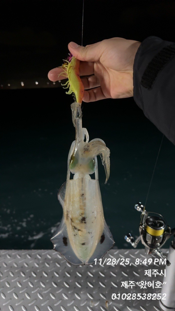제주왔어호_사진_20251130_21.jpg