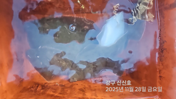 신신낚시 강구점 신신호_사진_20251128_5.jpg