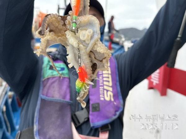 11월12일대왕쭈 (37).jpg