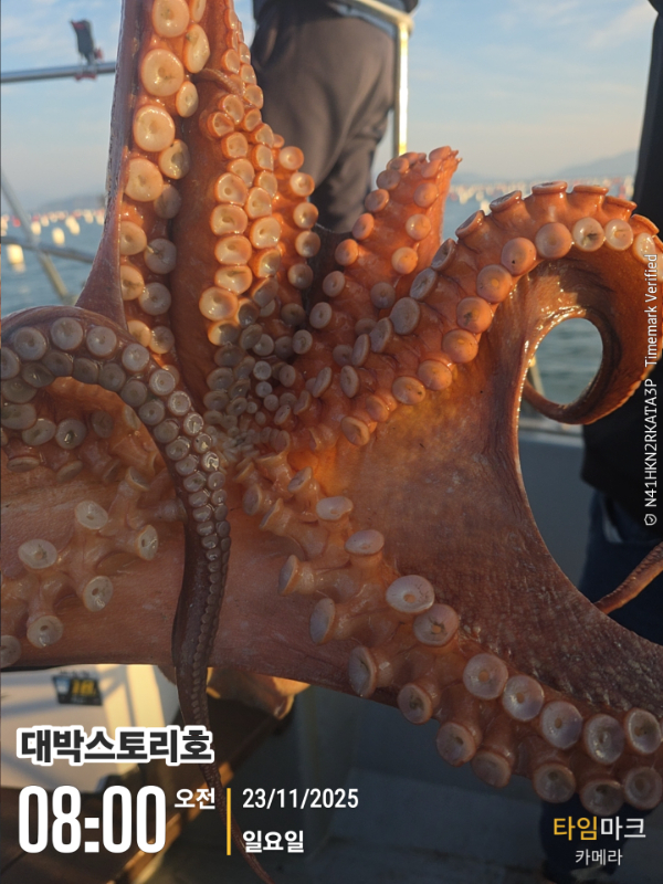 2025-11-23 08.00.10__(대박스토리호).jpg