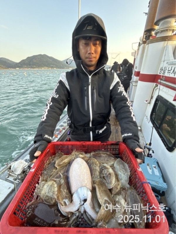 11월1일왕갑오징어 (9).jpg