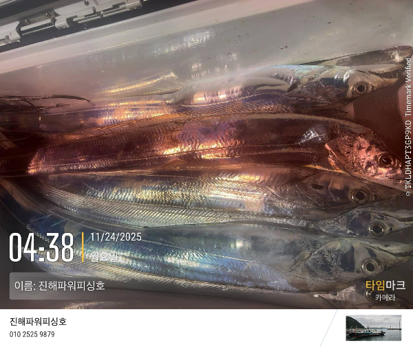 2025-11-24 04.38.48_(이름-진해파워피싱호).jpeg