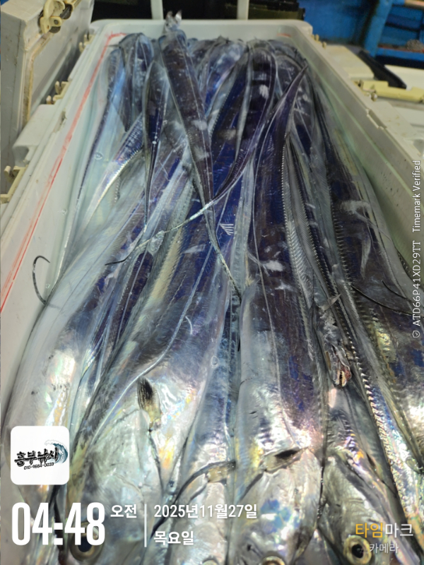 2025-11-27 04.48.56_.jpg