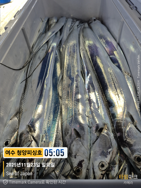 2025-11-23 05.05.54_Japan_(제목-여수 청양피싱호).jpg