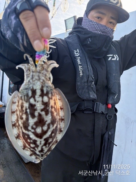 군산 선상낚시, 바다낚시 출조 전문 ☆서군산낚시☆_사진_20251111_18.jpg