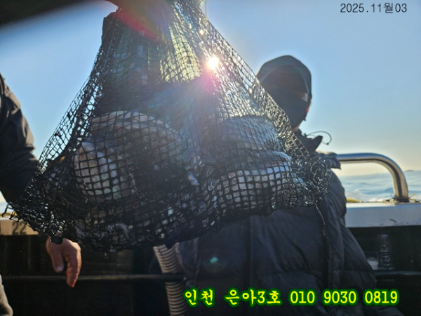 11월03 3호 (18).jpg