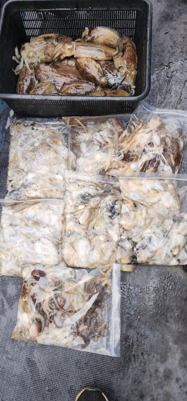 예지퀸호 농어외수질&어초낚시 경기인천권_사진_20251031_10.jpg