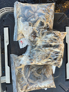 인천쭈꾸미낚시 (8).jpg