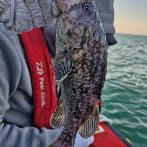 인천바다낚시 (5).jpg