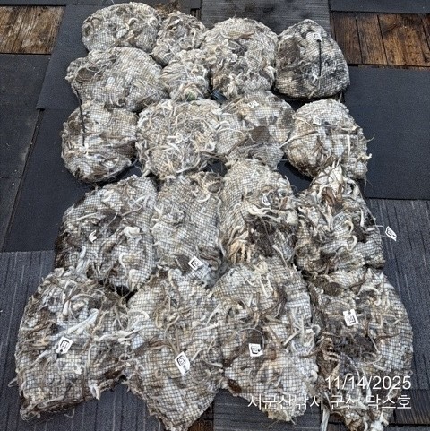 군산 선상낚시, 바다낚시 출조 전문 ☆서군산낚시☆_사진_20251114_1.jpg