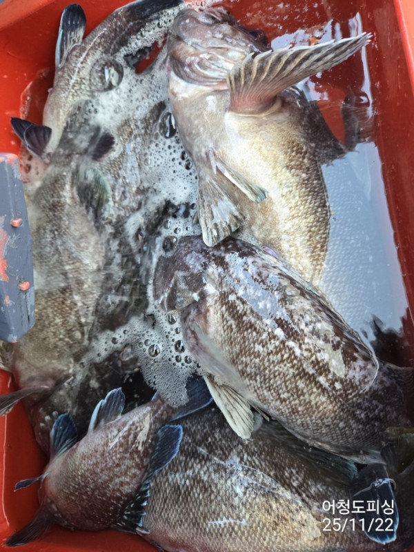 최강피싱 063.463.0800_사진_20251122_36.jpg