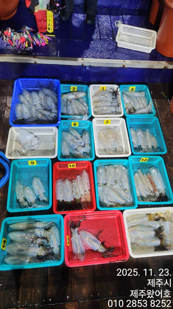 제주왔어호_사진_20251123_1.jpg