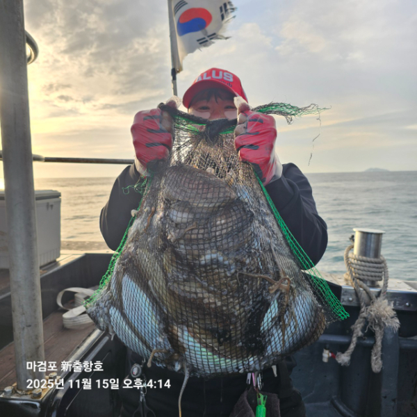 ꫛꫀꪝ✧‧˚ 태안 마검포 新출항호 .• _˚☀₊_사진_20251115_1.jpg