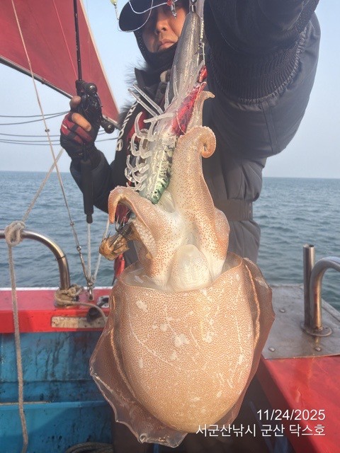 군산 선상낚시, 바다낚시 출조 전문 ☆서군산낚시☆_사진_20251124_6.jpg