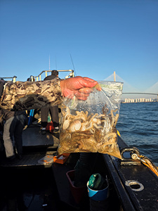 인천쭈꾸미낚시 (12).jpg