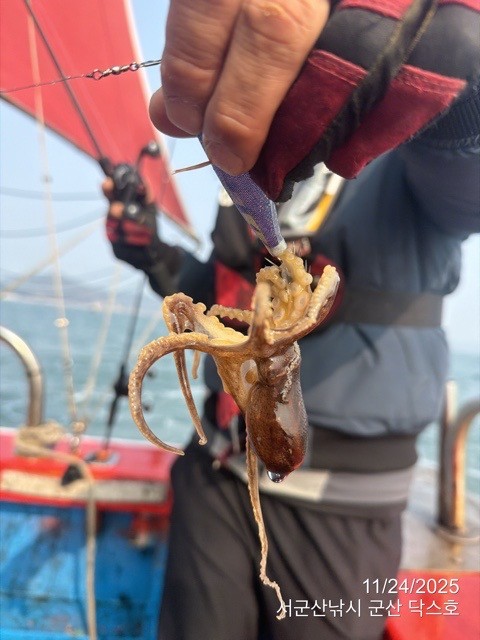 군산 선상낚시, 바다낚시 출조 전문 ☆서군산낚시☆_사진_20251124_14.jpg