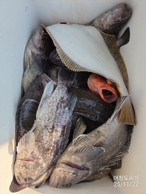 최강피싱 063.463.0800_사진_20251122_44 - 복사본.jpg