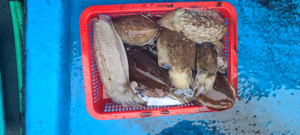 20251031_154116 - 복사본.jpg