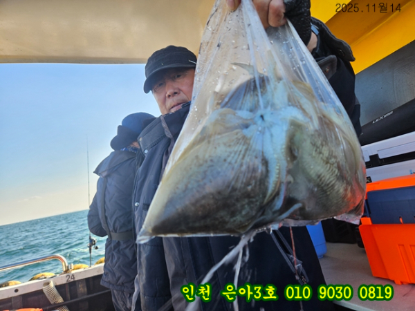 11월14 3호 (5).jpg