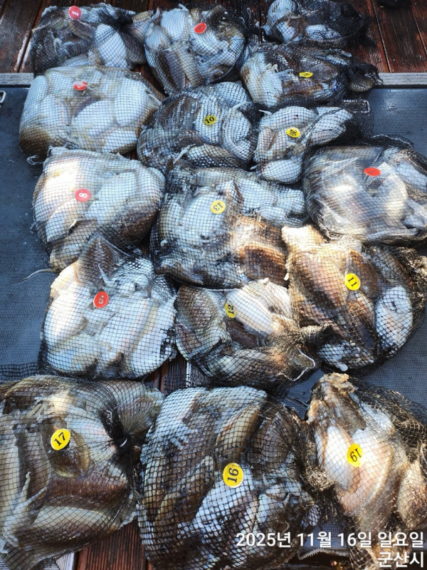 군산 선상낚시, 바다낚시 출조 전문 ☆서군산낚시☆_사진_20251116_16.jpg