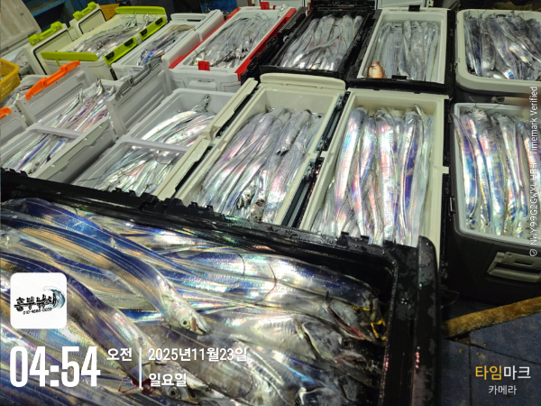 2025-11-23 04.54.55_.jpg