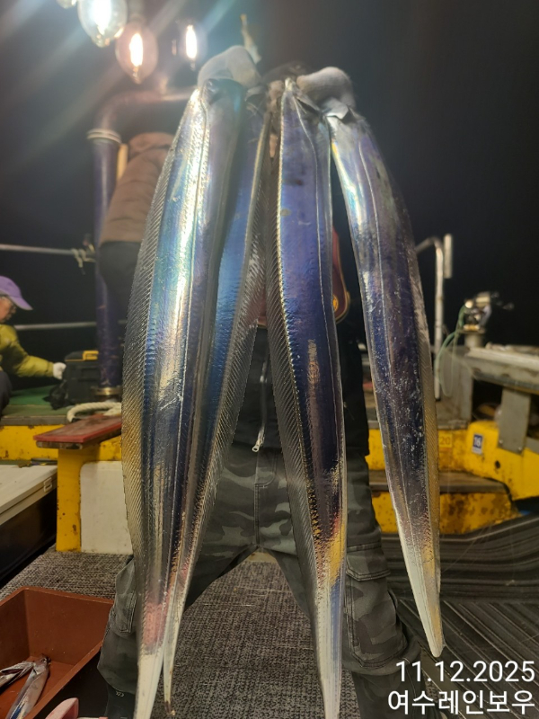 ♡여수레인보우♡갈치_열기_한치_갑오징어__사진_20251112_8.jpg