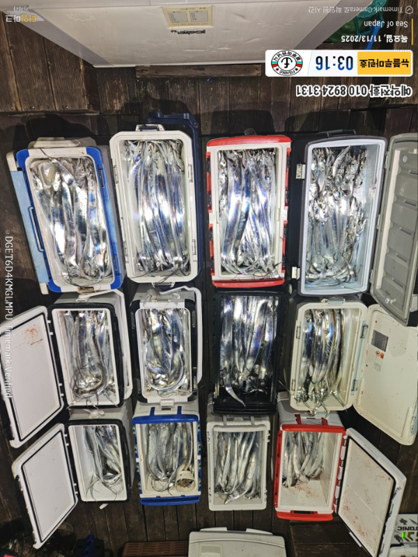 2025-11-13 03.16.19_Japan_(제목-뉴블루마린호)_(예약전화 010 8924 3131).jpg