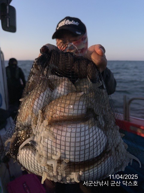 군산 선상낚시, 바다낚시 출조 전문 ☆서군산낚시☆_사진_20251104_5.jpg