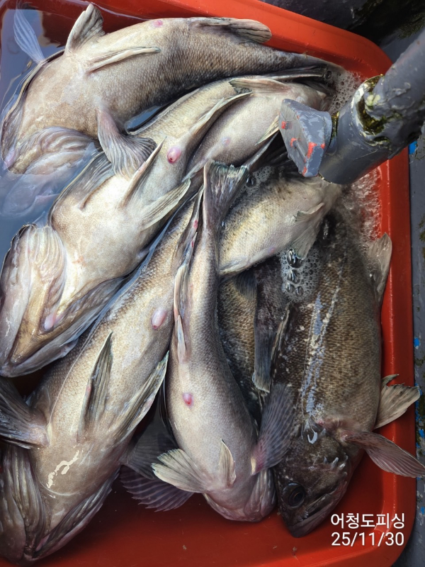 최강피싱 063.463.0800_사진_20251130_19.jpg