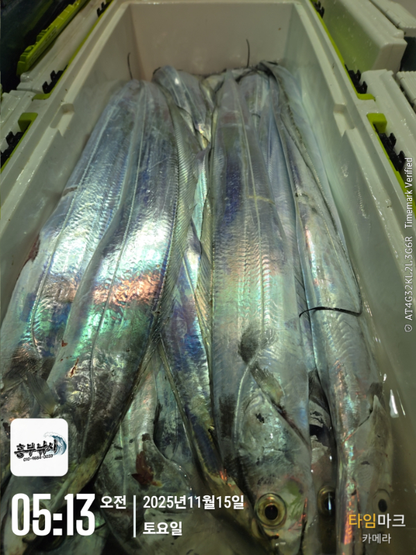 2025-11-15 05.13.00_.jpg