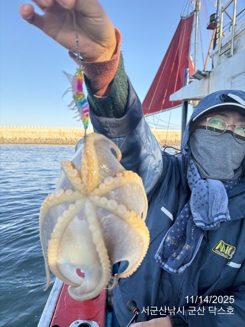 군산 선상낚시, 바다낚시 출조 전문 ☆서군산낚시☆_사진_20251114_17.jpg