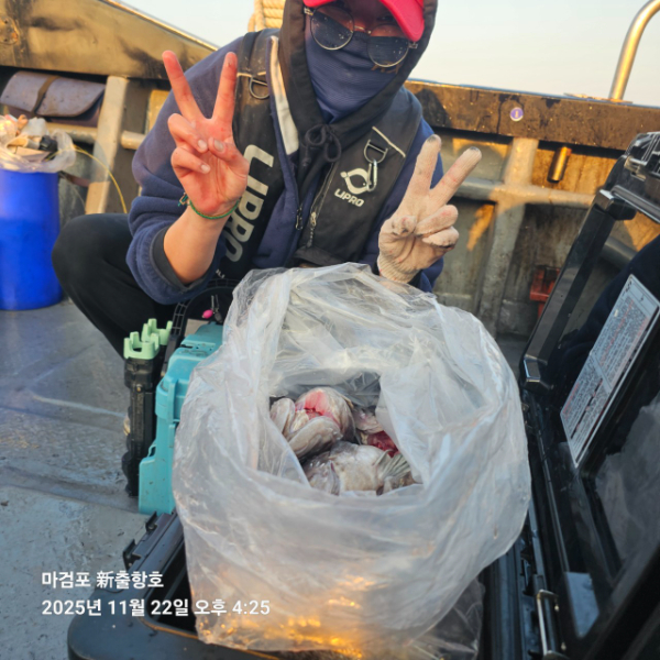 ꫛꫀꪝ✧‧˚ 태안 마검포 新출항호 .• _˚☀₊_사진_20251122_3.jpg