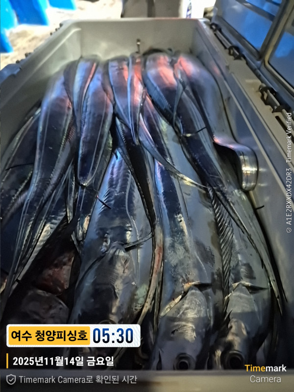 2025-11-14 05.30.54__(제목-여수 청양피싱호).jpg