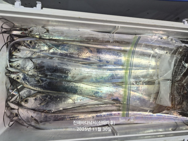 바다꾼낚시(신아라호)_사진_20251130_7.jpg
