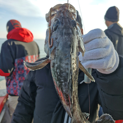 인천바다낚시 (14).jpg