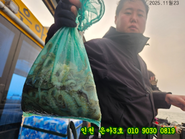 11월23 3호 (14).jpg