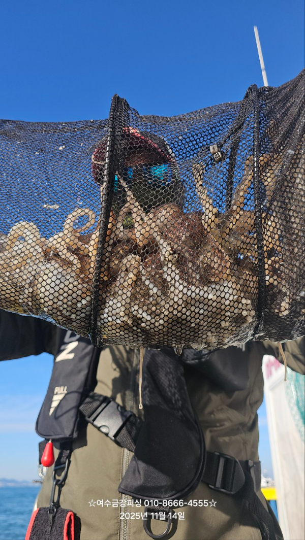 여수금강피싱_사진_20251115_10.jpg