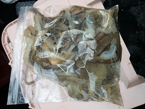 인천쭈꾸미낚시 (15).jpg