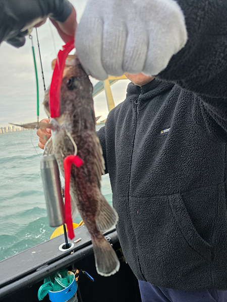 인천바다낚시 (5).jpg