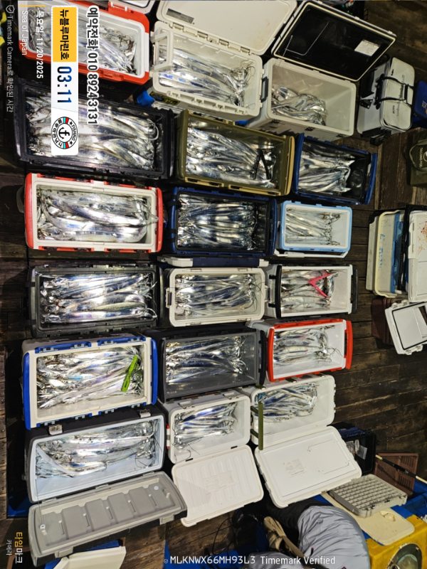 2025-11-20 03.11.37_Japan_(제목-뉴블루마린호)_(예약전화 010 8924 3131).jpg