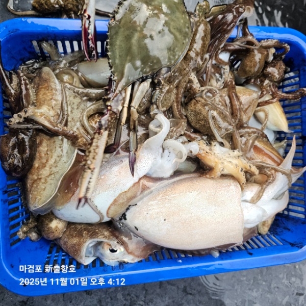 ꫛꫀꪝ✧‧˚ 태안 마검포 新출항호 .• _˚☀₊_사진_20251101_1.jpg