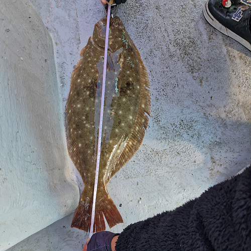 인천배낚시 (12).jpg