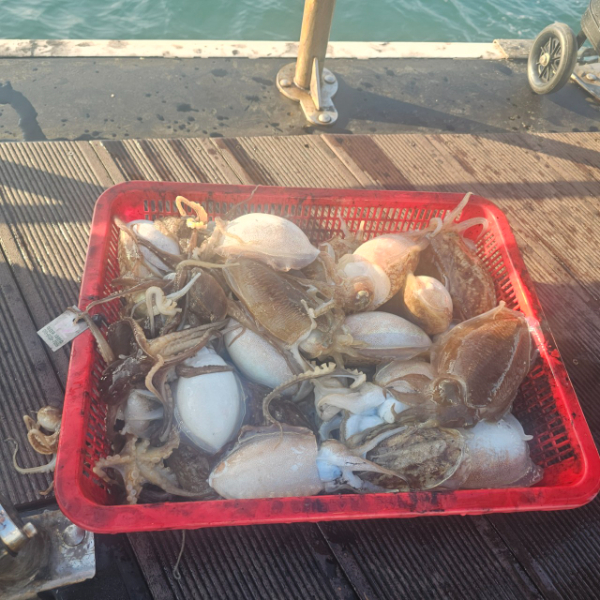 마검포 대한호(VIP)_사진_20251114_3.jpg