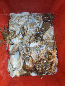 인천쭈꾸미낚시 (30).jpg