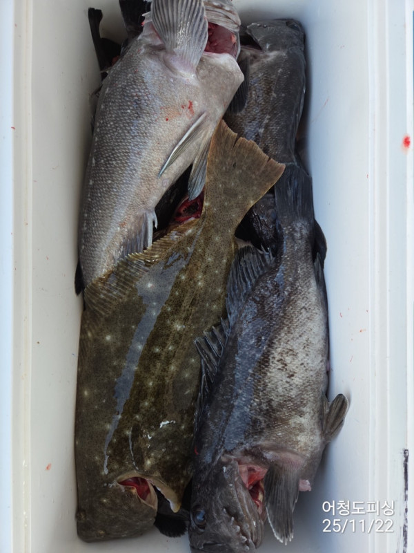 최강피싱 063.463.0800_사진_20251122_42.jpg