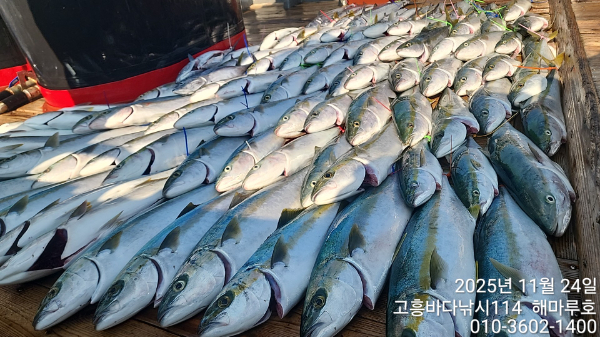 TimeVideo_20251124_112655 10명 (25).jpg