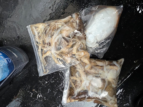 인천쭈꾸미낚시 (8).jpg