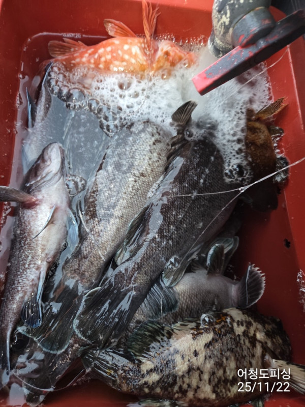 최강피싱 063.463.0800_사진_20251122_30 - 복사본.jpg