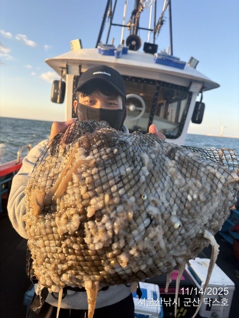 군산 선상낚시, 바다낚시 출조 전문 ☆서군산낚시☆_사진_20251114_5.jpg