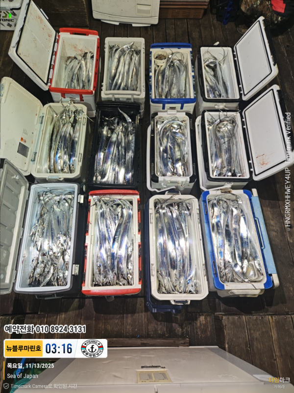 2025-11-13 03.16.17_Japan_(제목-뉴블루마린호)_(예약전화 010 8924 3131).jpg